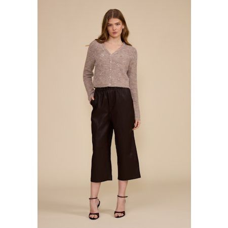 Jason Faux Leather Pant
