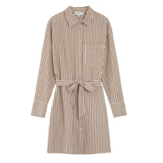 Visery Shirt Dress