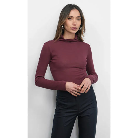 Astra Turtleneck Top